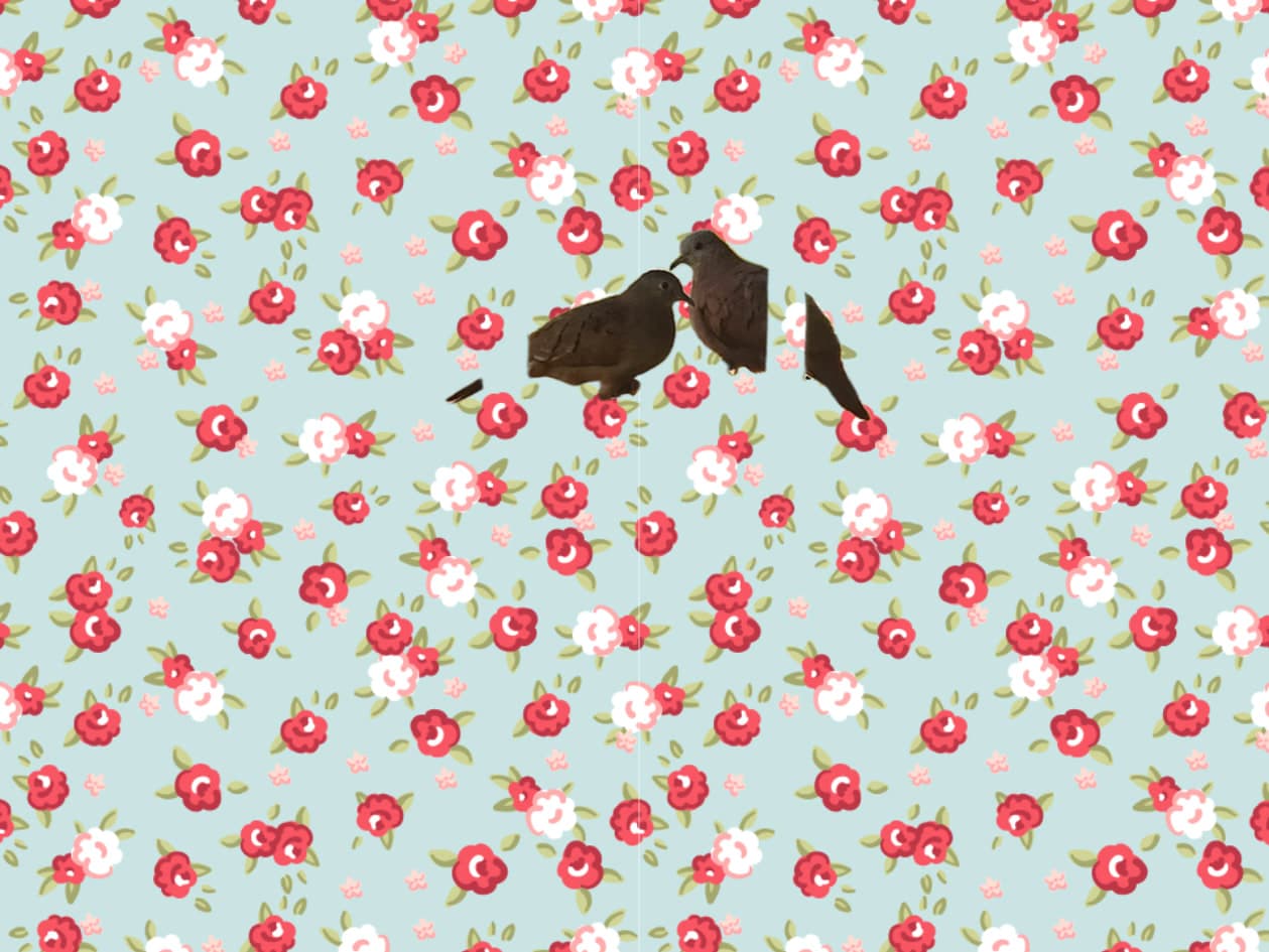 PARA APRENDER, REFLEXIONAR Y DIFUNDIR CON EL PROPÓSITO DE QUE SE EJECUTE A CABALIDAD.